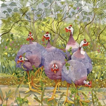 mary ann rogers pic7 Guinea fowl 65cm x 56cm 4.3.jpeg